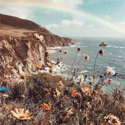 逗比西游手游360版下载