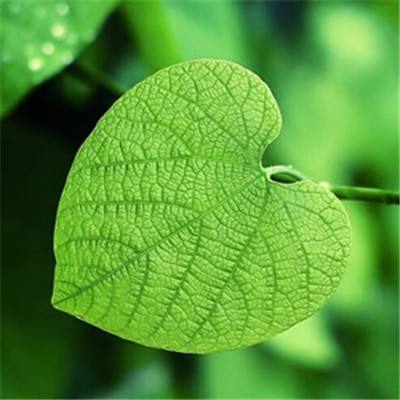弹无限战场最新版下载
